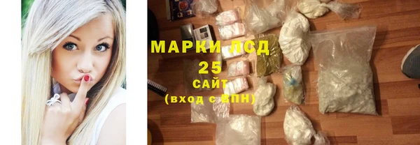 прущий лед Богданович