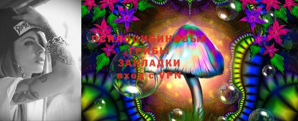 прущие грибы Тавда