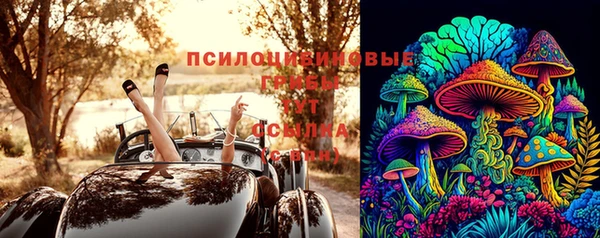 прущий лед Богданович