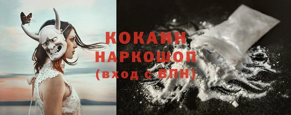 прущий лед Богданович